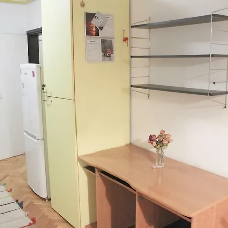 Vintage In City Center Apartman *